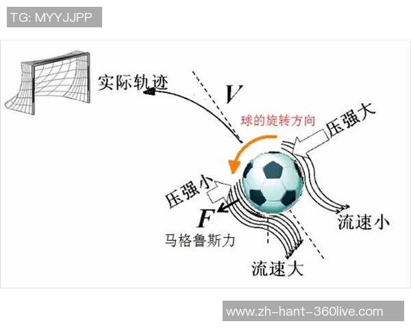 足球乒乓的魅力碰撞：探讨两项运动的异同与融合之道